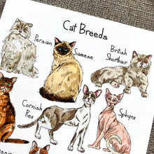 Load image into Gallery viewer, Art Print - A4 - Cat Breeds - HD Designs