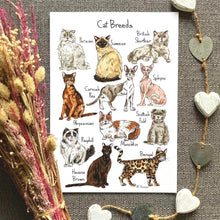 Load image into Gallery viewer, Art Print - A4 - Cat Breeds - HD Designs