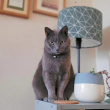 Load image into Gallery viewer, Cat Enamel Pin Badge - Day time - Or8 Design