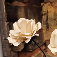 Load image into Gallery viewer, Paper Rose - Hand Rolled Paper Rose - Cream - Flowers by Laurzy