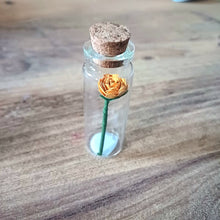 Load image into Gallery viewer, Mini Hand Rolled Paper Rose in Glass Bottle - Lots of colours - Flowers by Laurzy