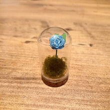 Load image into Gallery viewer, Hand Rolled Single Paper Rose in Mini Glass Cloche - Lots of colours - Flowers by Laurzy