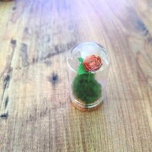 Load image into Gallery viewer, Hand Rolled Single Paper Rose in Mini Glass Cloche - Lots of colours - Flowers by Laurzy