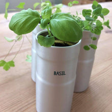 Load image into Gallery viewer, Italian Herb Kitchen - Grow Your Own Herbs Kit - Seedball