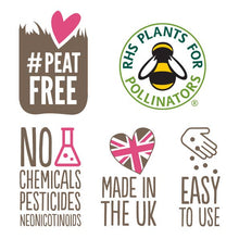 Load image into Gallery viewer, Make Your Own Seedball Kit - Wildflowers for Bees - Seedball