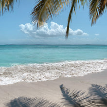 Load image into Gallery viewer, Reed Diffuser - Meditate - Amber, Coconut, Orange - Fiiya