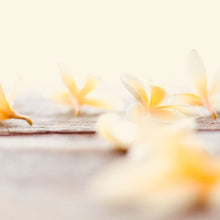 Load image into Gallery viewer, Candle - Captivate - Amber, Tonka Bean & Myrrh - Fiiya