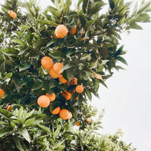 Load image into Gallery viewer, Candle - Happy - Orange Blossom, Jasmine, Mandarin - Fiiya