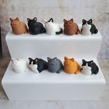 Load image into Gallery viewer, Loaf Cat - Polymer Clay - Cat Keepsake Decoration - Pins and Noodles