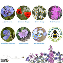 Load image into Gallery viewer, Seedball - Wildflower Seed Box - Cornflower / Poppy / Forget-me-not / Rainbow Wildflowers - A simple way to grow wildflowers from seed!