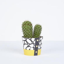 Load image into Gallery viewer, Plant Pot Covers - Studio Wald
