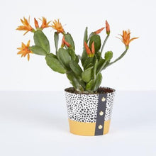 Load image into Gallery viewer, Plant Pot Covers - Studio Wald