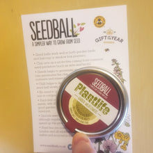 Load image into Gallery viewer, Seedball Tin - a simpler way to grow wildflowers from seeds