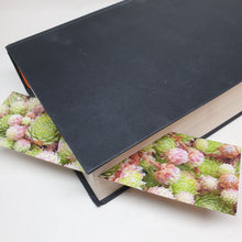 Load image into Gallery viewer, Bookmarks - Paperweight Products - Colourful card bookmarks