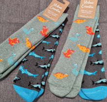 Load image into Gallery viewer, Childrens welly socks - Dinosaur and Shark 2 pack welly socks - Urban Eccentric