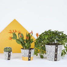 Load image into Gallery viewer, Plant Pot Covers - Studio Wald