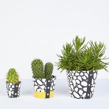 Load image into Gallery viewer, Plant Pot Covers - Studio Wald