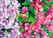 Load image into Gallery viewer, Floral and Botanical Gift Wrap - Paperweight Products