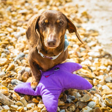 Load image into Gallery viewer, Eco friendly Dog Toy - Starfish - 100% Recycled Materials Dog Toy - Sustainapaws
