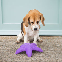 Load image into Gallery viewer, Eco friendly Dog Toy - Starfish - 100% Recycled Materials Dog Toy - Sustainapaws