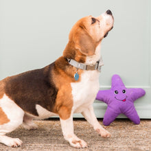 Load image into Gallery viewer, Eco friendly Dog Toy - Starfish - 100% Recycled Materials Dog Toy - Sustainapaws