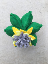 Load image into Gallery viewer, Felt Cactus - fun, funky and cute everlasting plants!