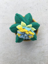 Load image into Gallery viewer, Felt Cactus - fun, funky and cute everlasting plants!