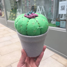 Load image into Gallery viewer, Felt Cactus - fun, funky and cute everlasting plants!
