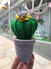 Load image into Gallery viewer, Felt Cactus - fun, funky and cute everlasting plants!