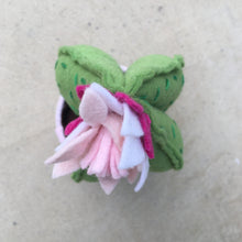Load image into Gallery viewer, Felt Cactus - fun, funky and cute everlasting plants!