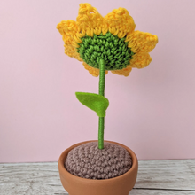Load image into Gallery viewer, Crochet amigurami Sunflower in pot - CuddlingaCactus