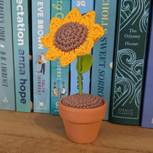 Load image into Gallery viewer, Crochet amigurami Sunflower in pot - CuddlingaCactus