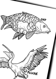 Animals Colouring Book - Awesome Animals - Dixon Does Doodles