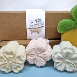 Foaming Shower Wash Selection Box - Shower Flowers - lots of fragrances - Little Shop of Lathers