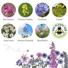 Load image into Gallery viewer, Wildflower Seed Matchbox - Happy Christmas - Seed Box - Seedball
