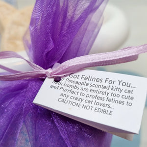 I've Got Felines for You Bath Bomb - Little Shop of Lathers - Bath treats - Cat lovers