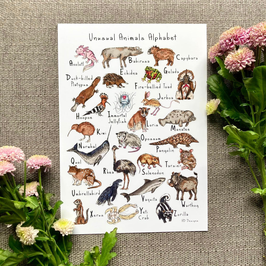 Art Print - A4 - Unusual Animals Alphabet - HD Designs