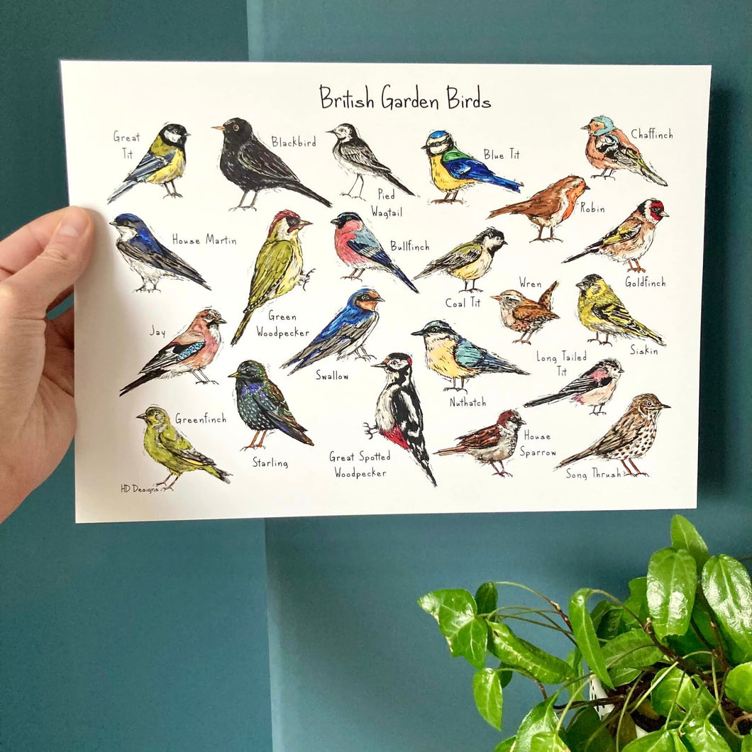 Art Print - A4 - Garden Birds - HD Designs