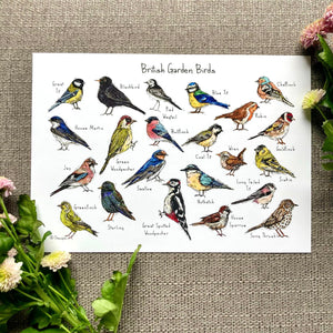 Art Print - A4 - Garden Birds - HD Designs