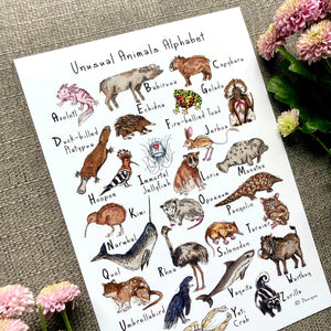 Art Print - A4 - Unusual Animals Alphabet - HD Designs