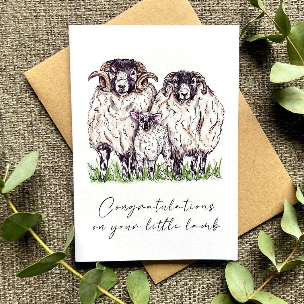 New Baby Card - Congratulations on your little lamb - HD Designs