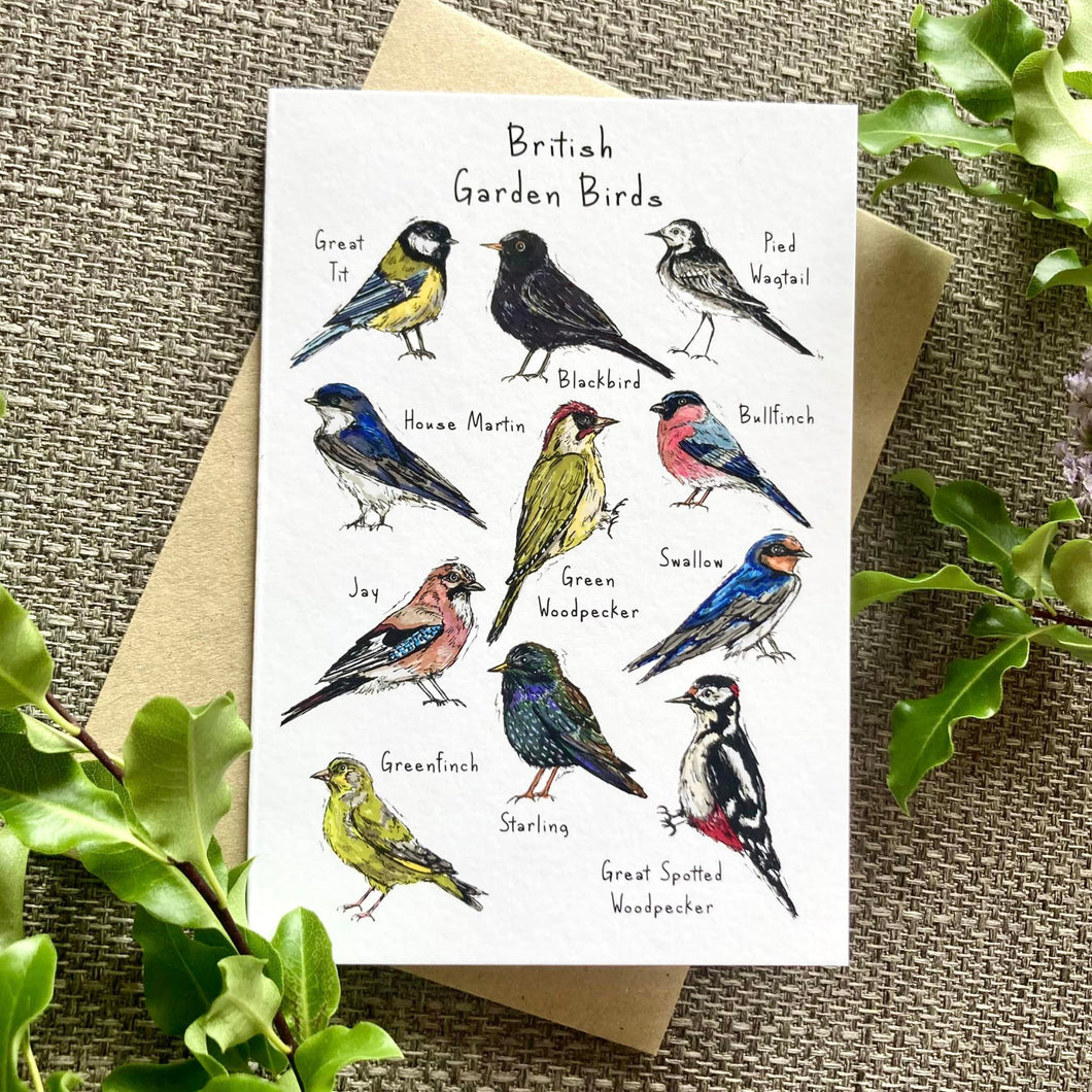 Greetings Card - British Garden Birds - HD Designs