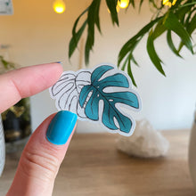 Load image into Gallery viewer, Sticker - Tiny Monstera Leaves - Clear Sticker - Full Mistica

