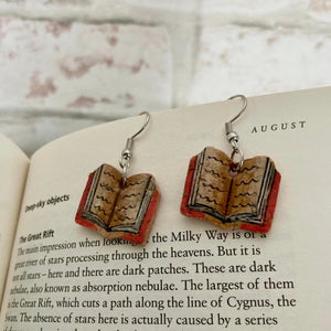 Pink Book Hook Earrings - Natural Cork Jewellery - Incorknito Designs