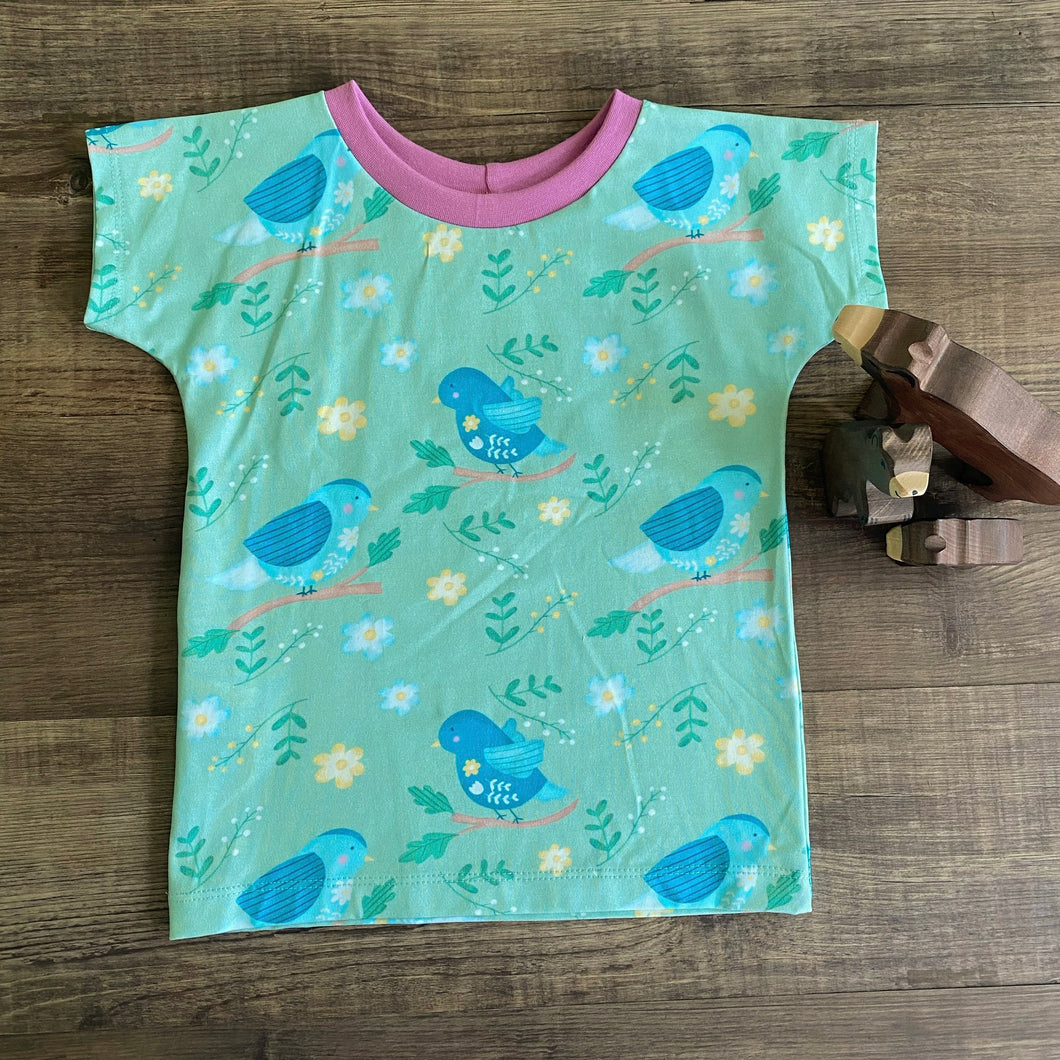 Dolman Tee - Childrens T-Shirt - Spring Birds - Three Bear Clothing