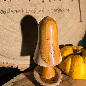 Wood Turned Toadstool / Mushroom / Fungi - Yew - What Wood Claire Do?