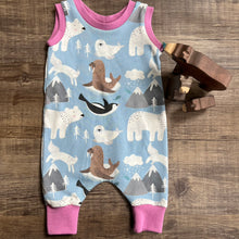 Load image into Gallery viewer, Romper - Icy Friends - Three Bear Clothing - Two colourways available
