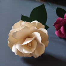 Load image into Gallery viewer, Paper Rose - Hand Rolled Paper Rose - Cream - Flowers by Laurzy
