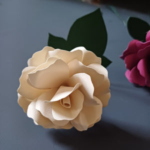 Paper Rose - Hand Rolled Paper Rose - Cream - Flowers by Laurzy