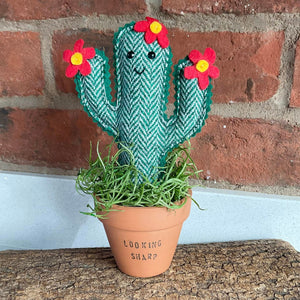 Felt Cactus - Looking Sharp - Quirky Threads Art